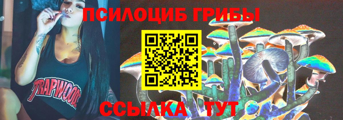 Псилоцибиновые грибы MAGIC MUSHROOMS  Вход с VPN  Мурманск 