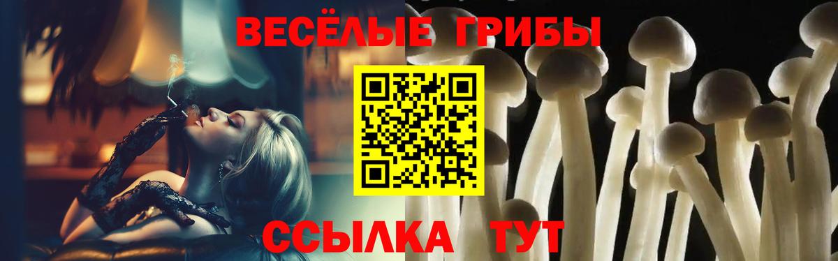 Галлюциногенные грибы Cubensis Мурманск